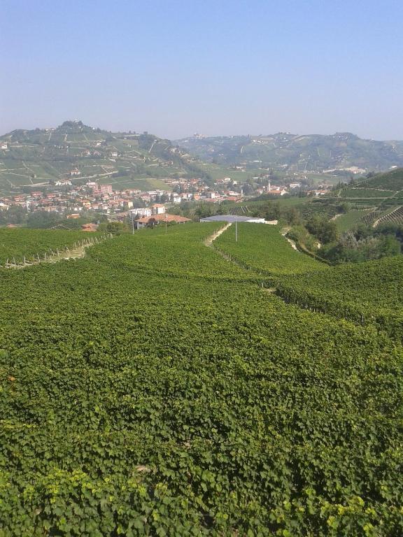 Agriturismo Ai Piacentini Santo Stefano Belbo Eksteriør billede