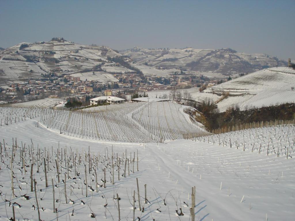 Agriturismo Ai Piacentini Santo Stefano Belbo Eksteriør billede