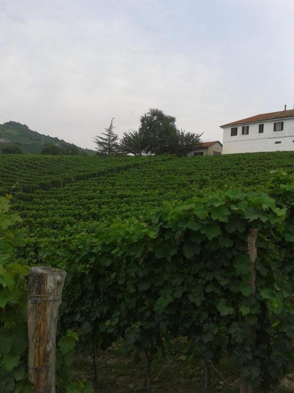 Agriturismo Ai Piacentini Santo Stefano Belbo Eksteriør billede