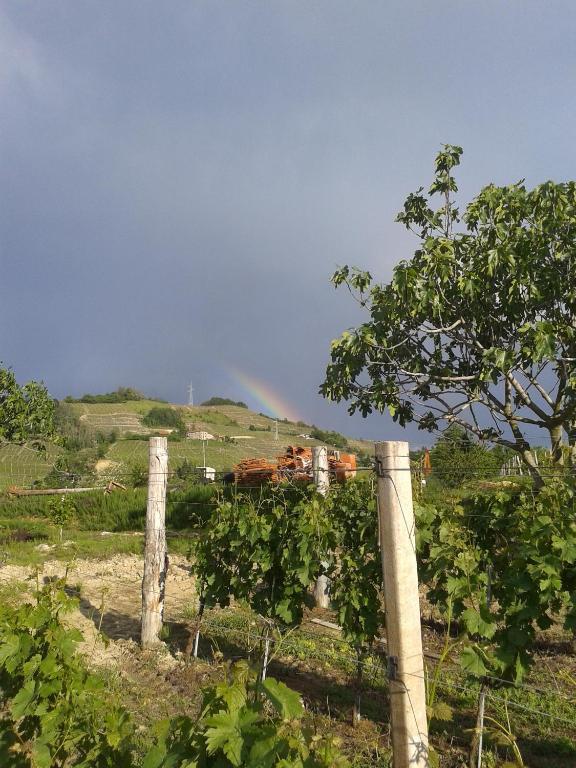 Agriturismo Ai Piacentini Santo Stefano Belbo Eksteriør billede